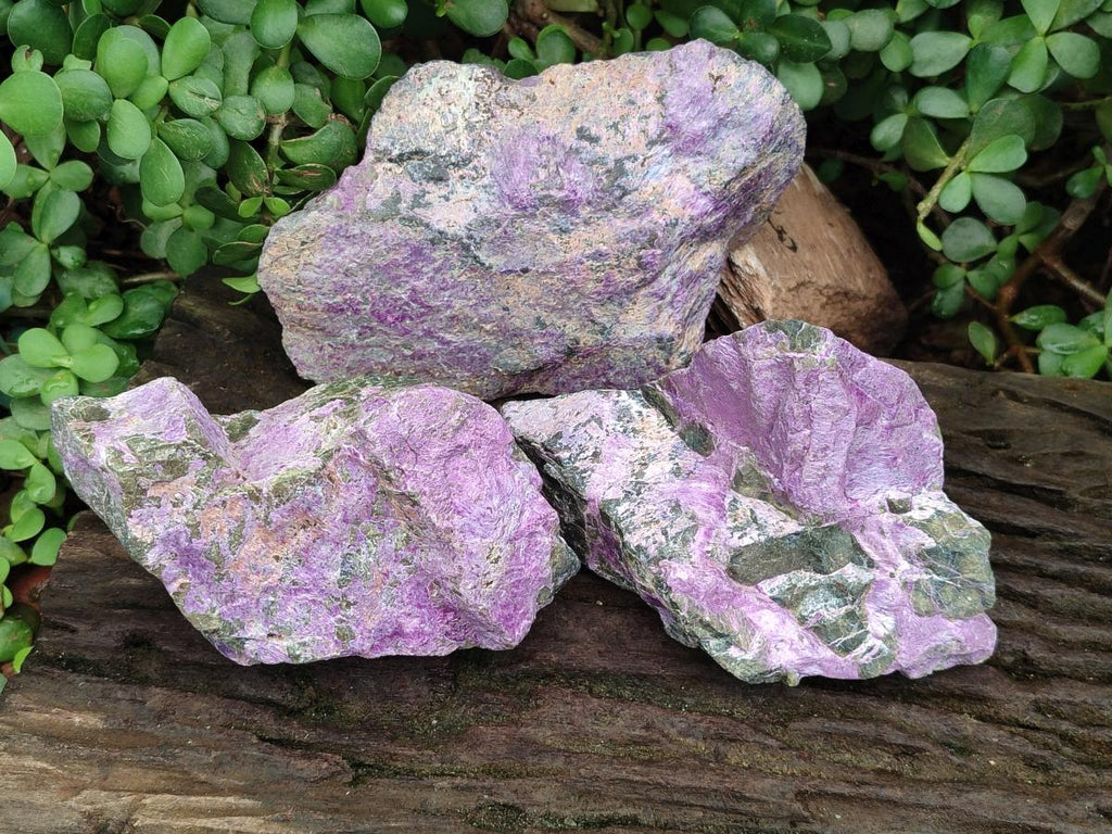 Natural Stichtite Cobbed Specimens x 3 From Barberton, South Africa - Toprock Gemstones and Minerals 