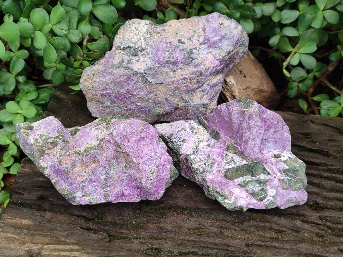 Natural Stichtite Cobbed Specimens x 3 From Barberton, South Africa - Toprock Gemstones and Minerals 