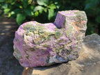 Natural Stichtite Cobbed Specimens x 3 From Barberton, South Africa - Toprock Gemstones and Minerals 