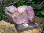 Natural Stichtite Cobbed Specimens x 3 From Barberton, South Africa - Toprock Gemstones and Minerals 