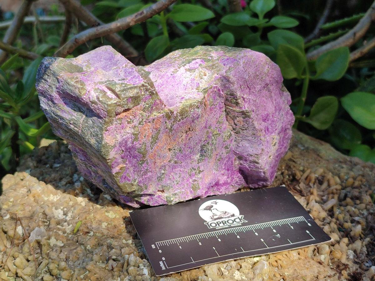 Natural Stichtite Cobbed Specimens x 3 From Barberton, South Africa - Toprock Gemstones and Minerals 