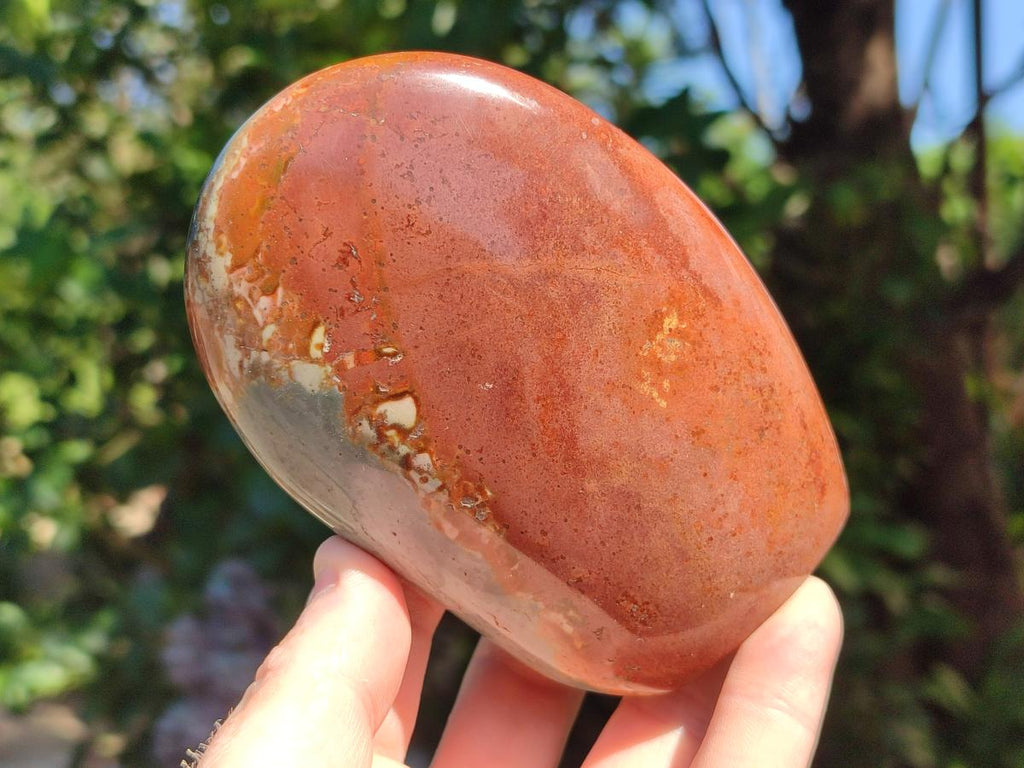 Polished Polychrome Jasper Standing Free Forms x 3 From NW Coast, Madagascar - Toprock Gemstones and Minerals 