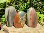 Polished Polychrome Jasper Standing Free Forms x 3 From NW Coast, Madagascar - Toprock Gemstones and Minerals 