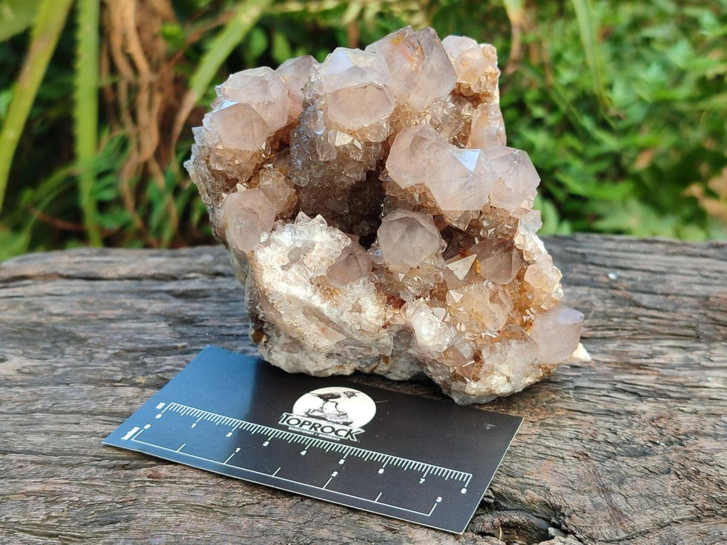 Natural Smokey Ametrine Spirit Clusters x 3 From Boekenhouthoek, South Africa - Toprock Gemstones and Minerals 