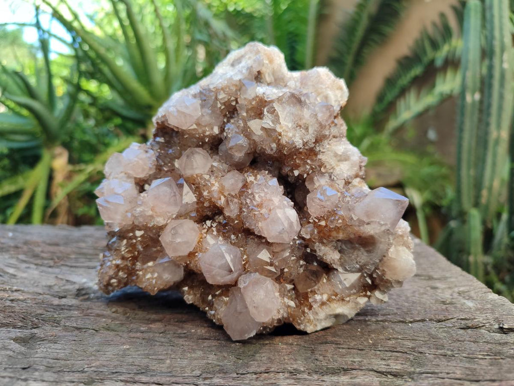 Natural Smokey Ametrine Spirit Clusters x 3 From Boekenhouthoek, South Africa - Toprock Gemstones and Minerals 