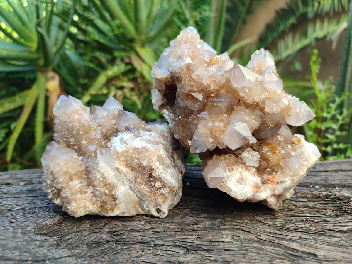 Natural Smokey Ametrine Spirit Clusters x 3 From Boekenhouthoek, South Africa - Toprock Gemstones and Minerals 