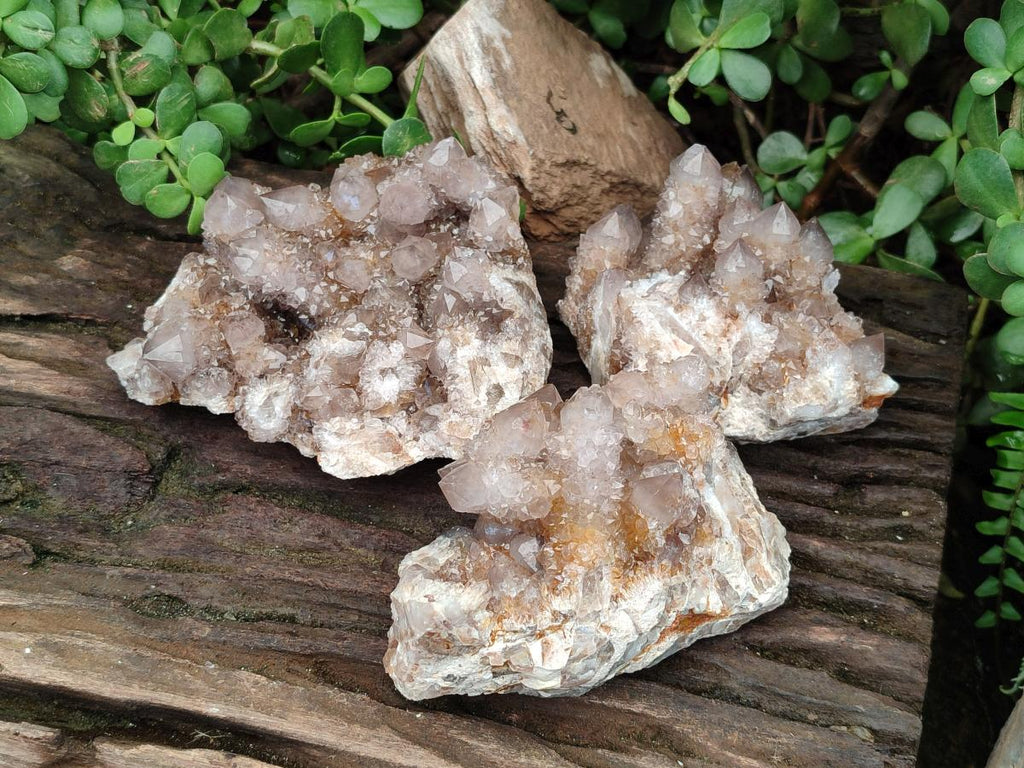 Natural Smokey Ametrine Spirit Clusters x 3 From Boekenhouthoek, South Africa - Toprock Gemstones and Minerals 