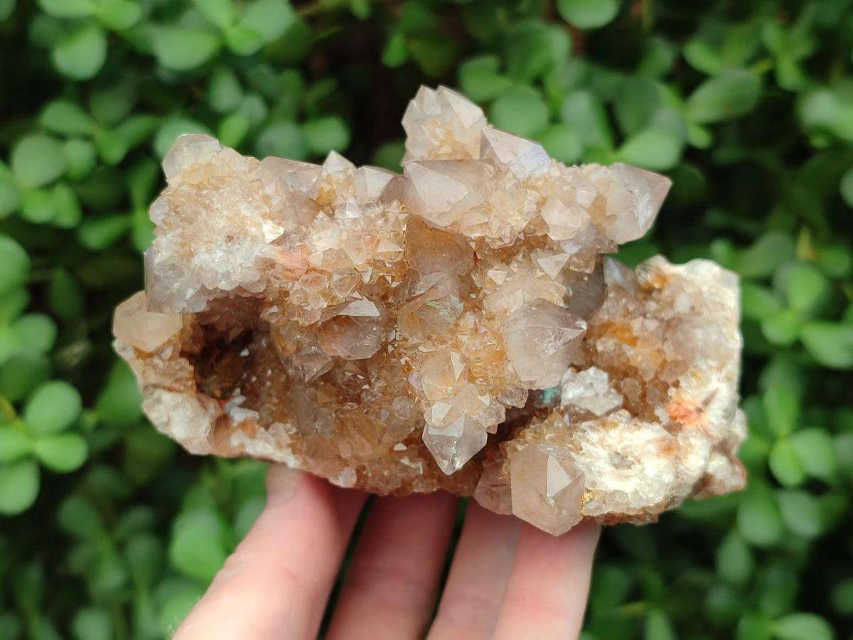 Natural Smokey Ametrine Spirit Clusters x 3 From Boekenhouthoek, South Africa - Toprock Gemstones and Minerals 