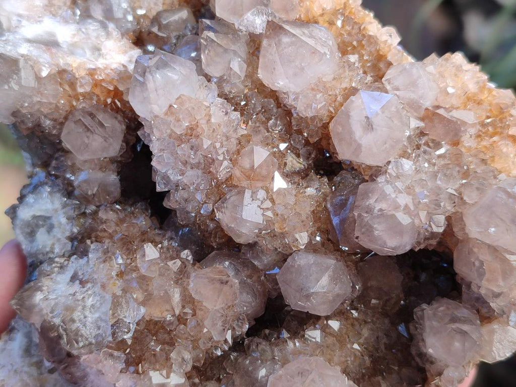 Natural Smokey Ametrine Spirit Clusters x 3 From Boekenhouthoek, South Africa - Toprock Gemstones and Minerals 