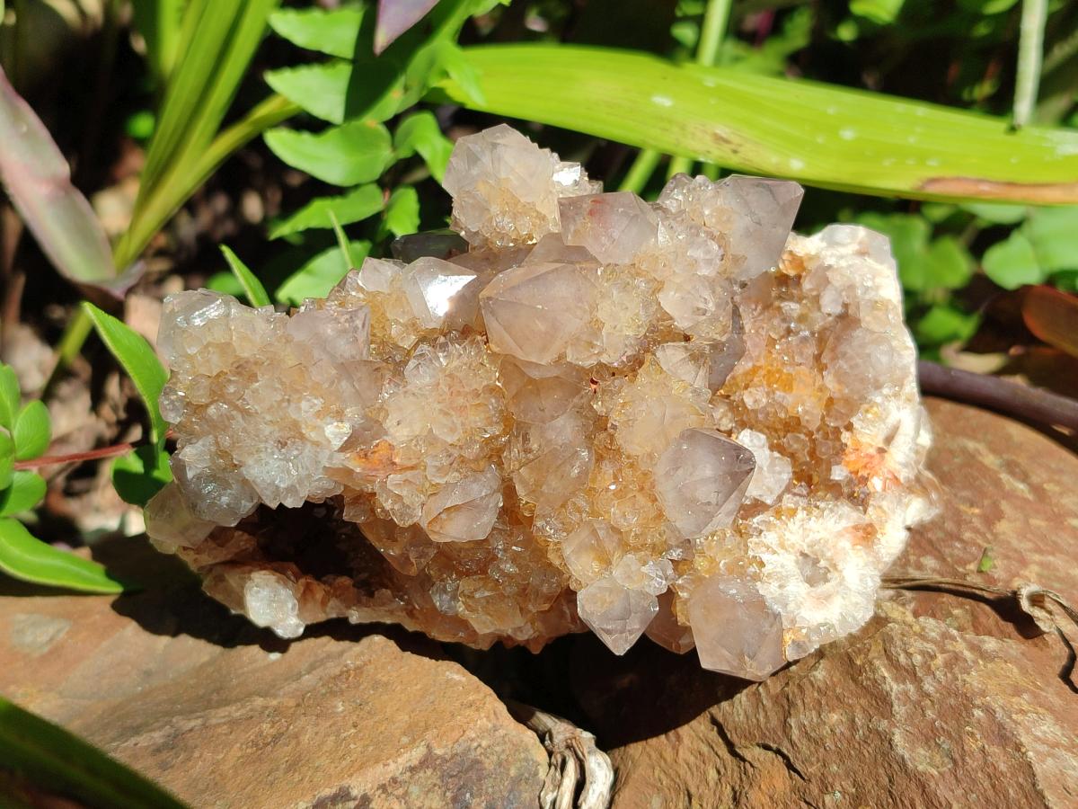 Natural Smokey Ametrine Spirit Clusters x 3 From Boekenhouthoek, South Africa - Toprock Gemstones and Minerals 
