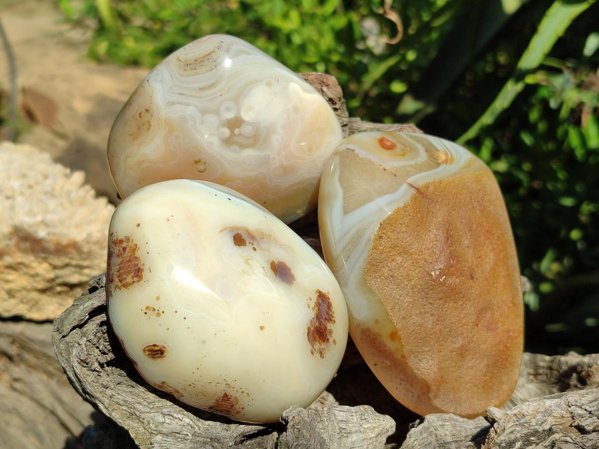 Polished One Side Agate Nodules x 6 From Madagascar - Toprock Gemstones and Minerals 
