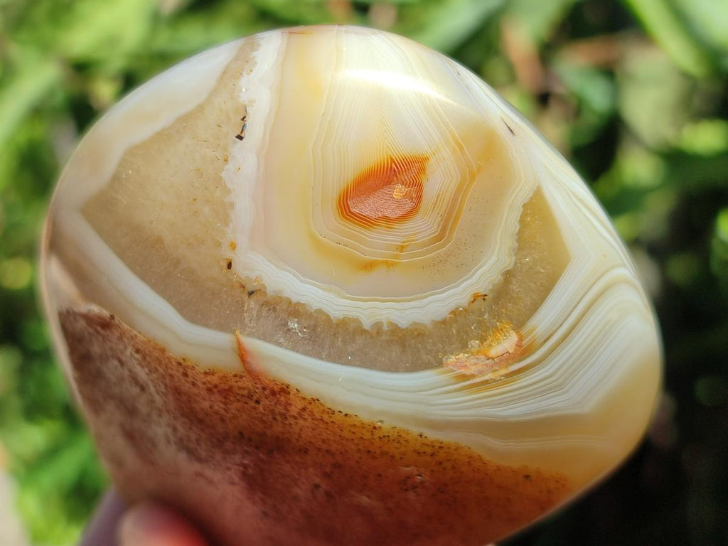 Polished One Side Agate Nodules x 6 From Madagascar - Toprock Gemstones and Minerals 