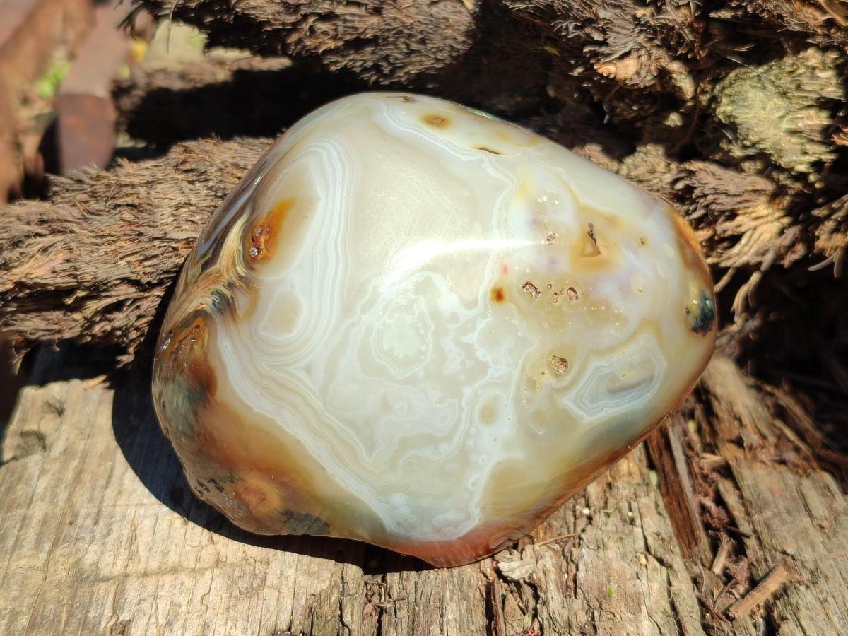 Polished One Side Agate Nodules x 6 From Madagascar - Toprock Gemstones and Minerals 
