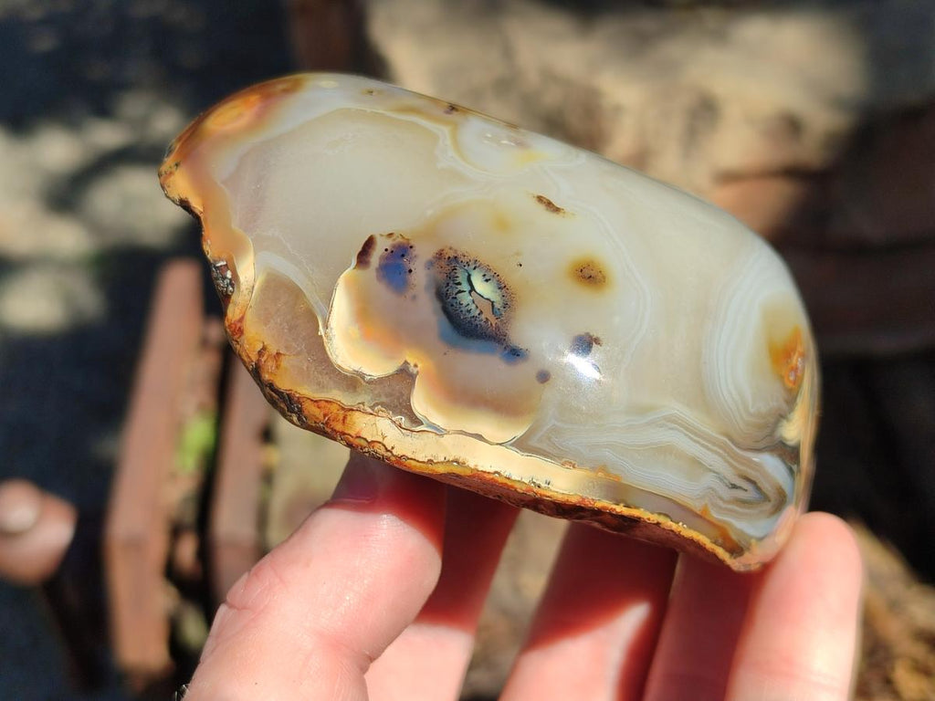 Polished One Side Agate Nodules x 6 From Madagascar - Toprock Gemstones and Minerals 