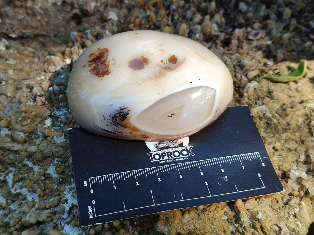 Polished One Side Agate Nodules x 6 From Madagascar - Toprock Gemstones and Minerals 