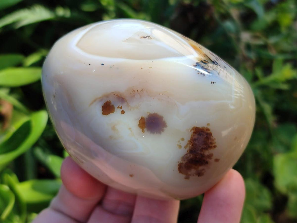 Polished One Side Agate Nodules x 6 From Madagascar - Toprock Gemstones and Minerals 