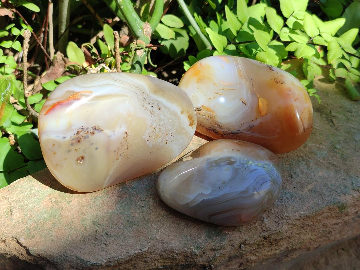 Polished One Side Agate Nodules x 6 From Madagascar - Toprock Gemstones and Minerals 