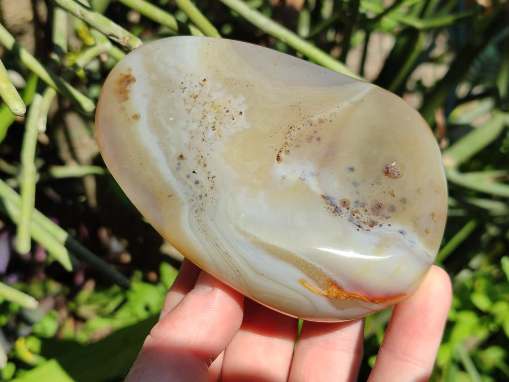 Polished One Side Agate Nodules x 6 From Madagascar - Toprock Gemstones and Minerals 