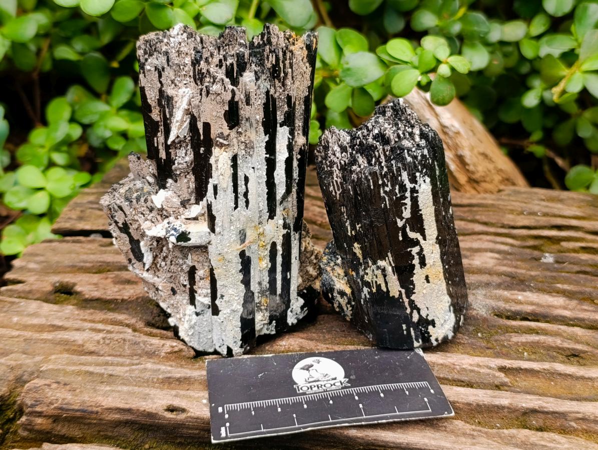 Natural Schorl Black Tourmaline with Feldspar Specimens x 2 From Erongo, Namibia - Toprock Gemstones and Minerals 