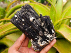 Natural Schorl Black Tourmaline with Feldspar Specimens x 2 From Erongo, Namibia - Toprock Gemstones and Minerals 