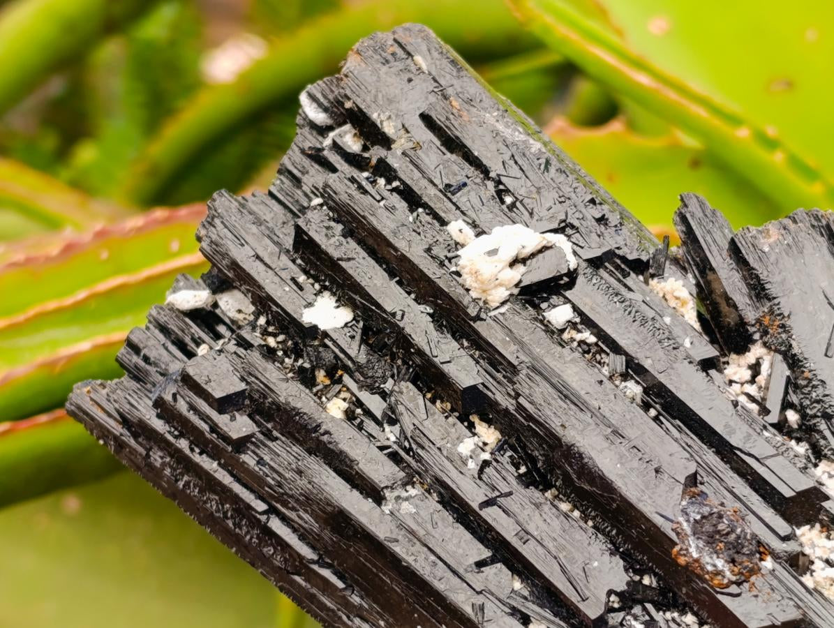 Natural Schorl Black Tourmaline with Feldspar Specimens x 2 From Erongo, Namibia - Toprock Gemstones and Minerals 