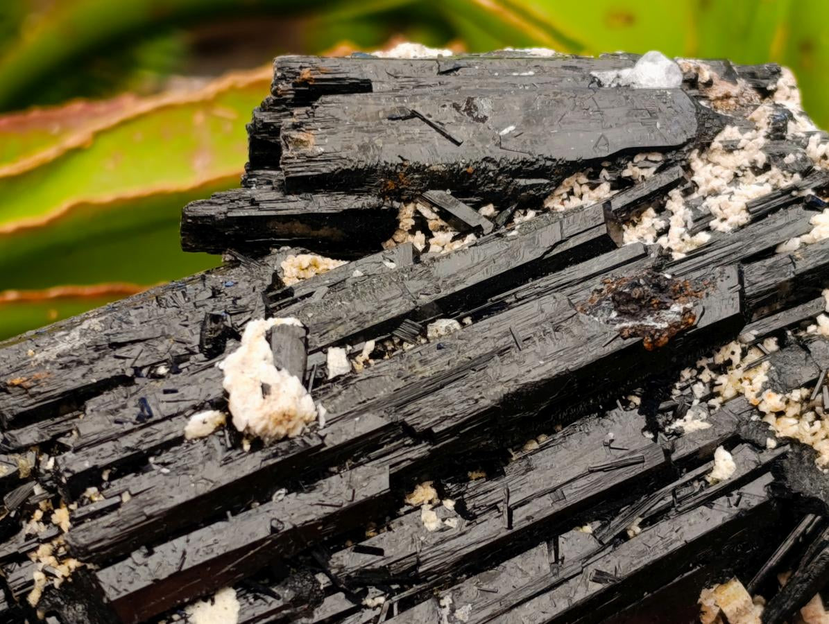 Natural Schorl Black Tourmaline with Feldspar Specimens x 2 From Erongo, Namibia - Toprock Gemstones and Minerals 