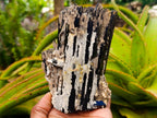 Natural Schorl Black Tourmaline with Feldspar Specimens x 2 From Erongo, Namibia - Toprock Gemstones and Minerals 
