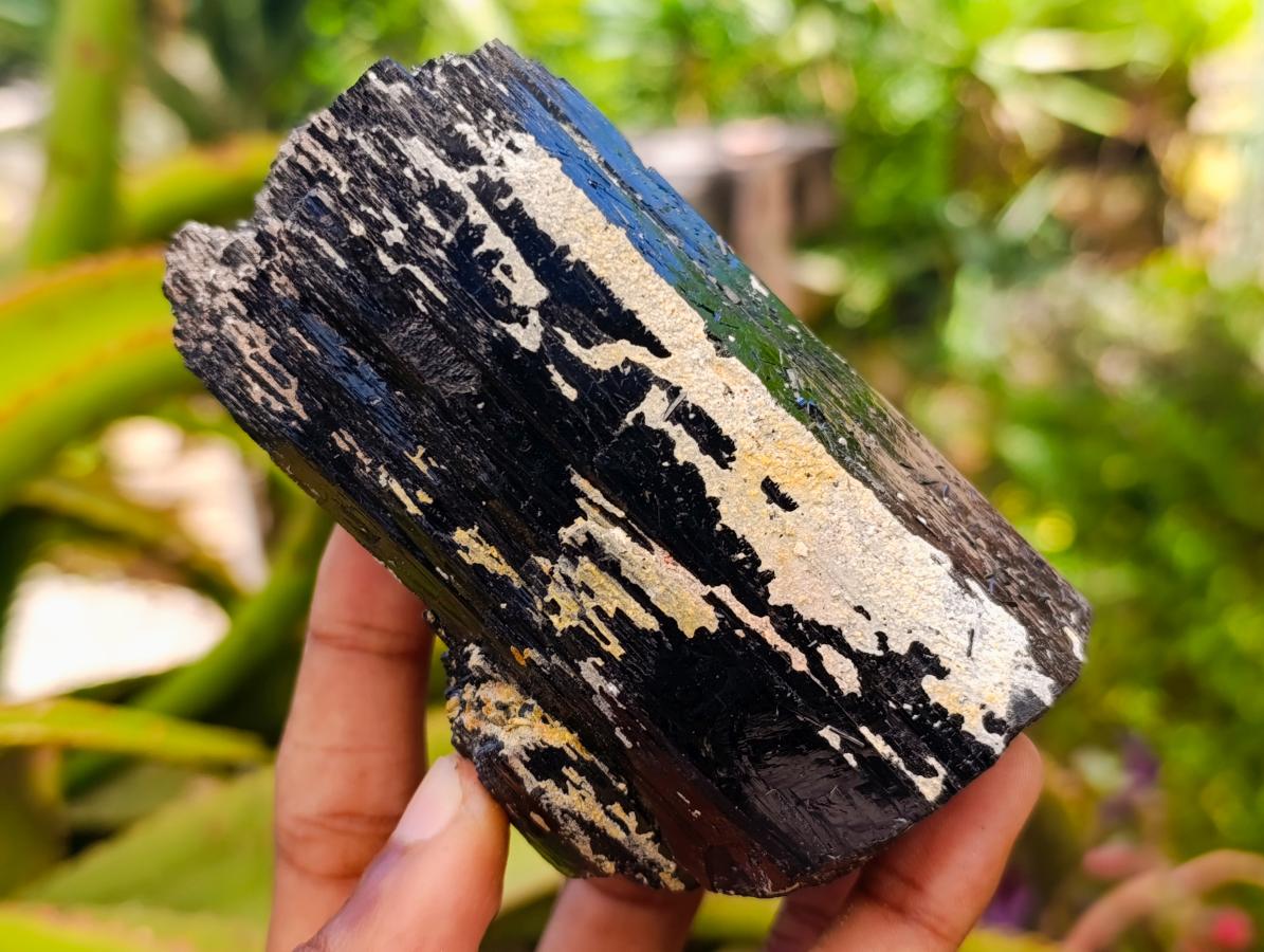 Natural Schorl Black Tourmaline with Feldspar Specimens x 2 From Erongo, Namibia - Toprock Gemstones and Minerals 