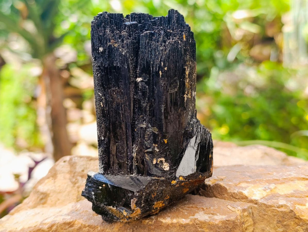 Natural Schorl Black Tourmaline with Feldspar Specimens x 2 From Erongo, Namibia - Toprock Gemstones and Minerals 