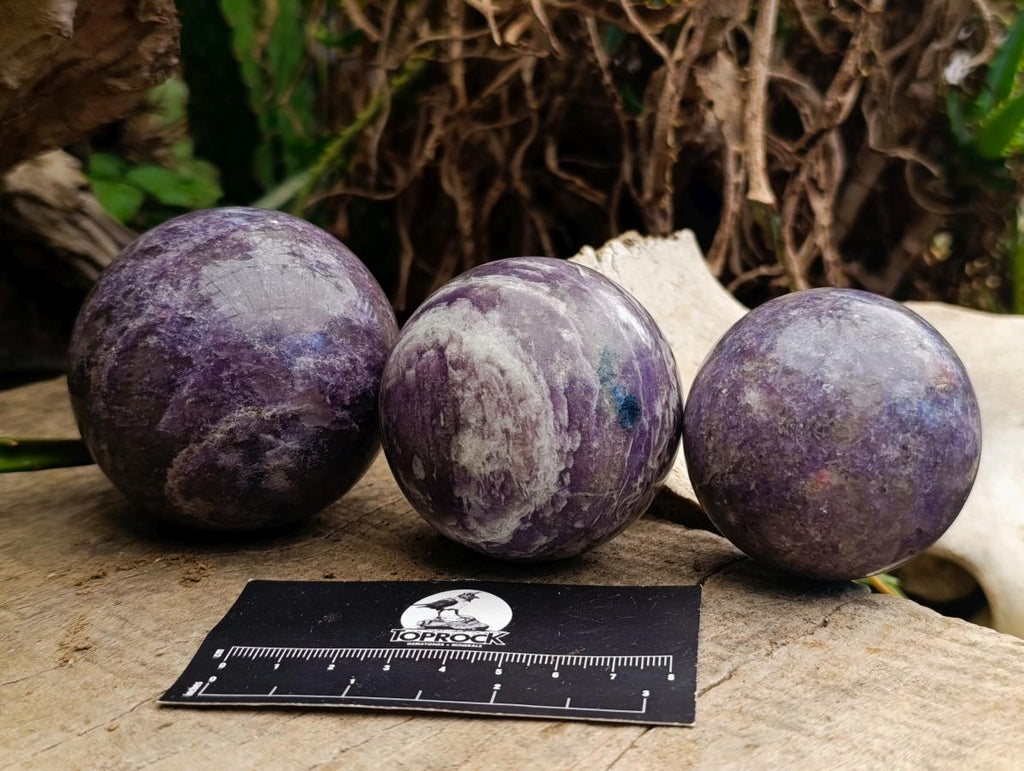 Polished Lepidolite Spheres x 3 From Ambatondrazaka, Madagascar - Toprock Gemstones and Minerals 