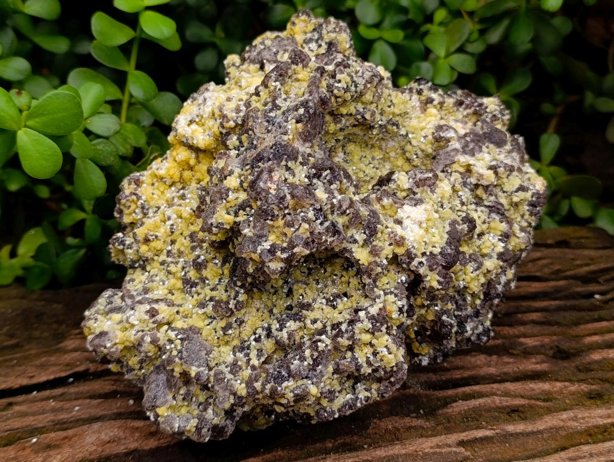 Natural XL Smokey Fluorite with Yellow Muscovite Mica Specimen x 1 From Erongo, Namibia - Toprock Gemstones and Minerals 