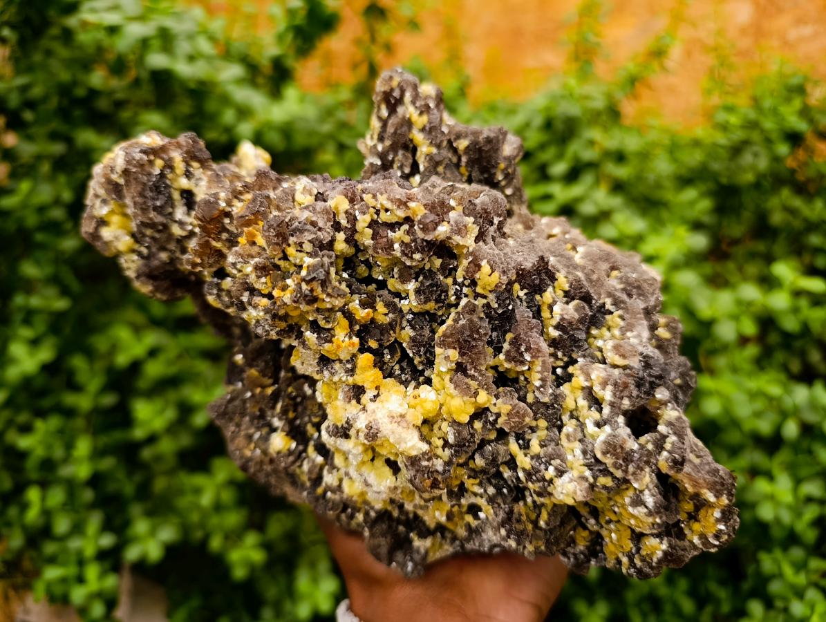 Natural XL Smokey Fluorite with Yellow Muscovite Mica Specimen x 1 From Erongo, Namibia - Toprock Gemstones and Minerals 