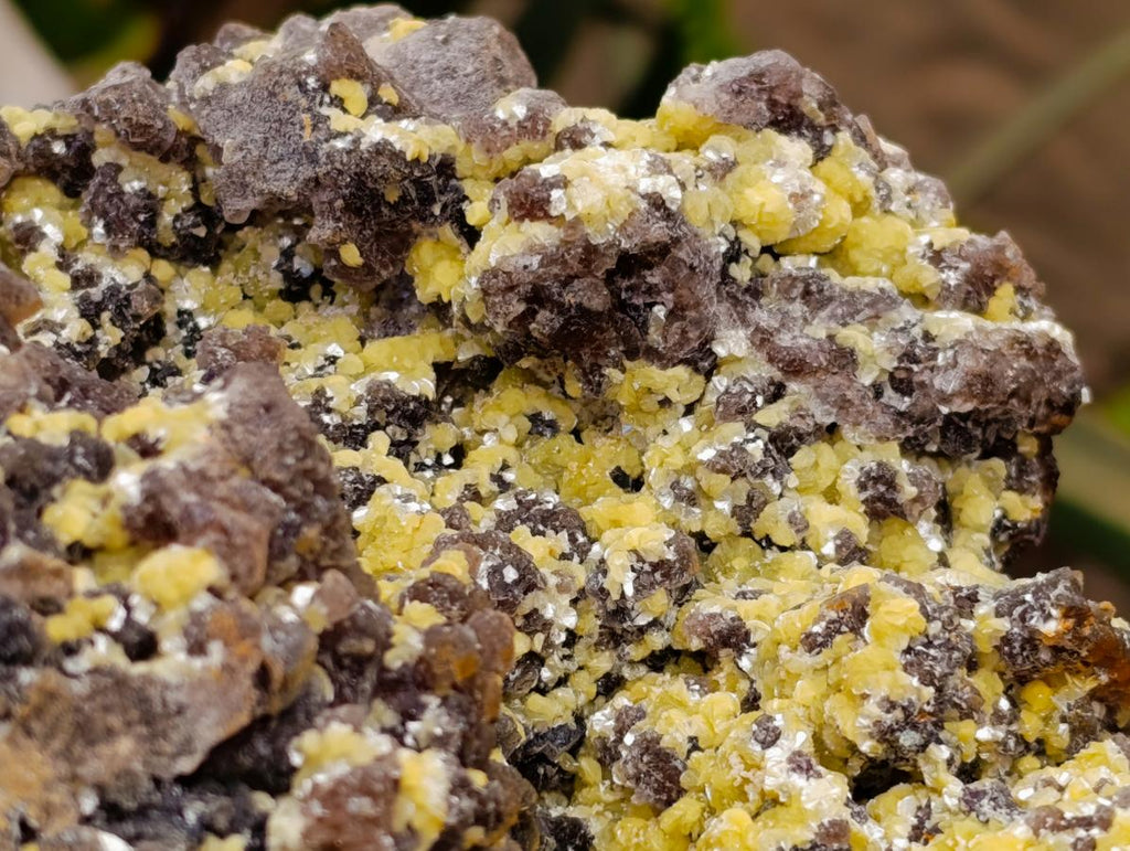 Natural XL Smokey Fluorite with Yellow Muscovite Mica Specimen x 1 From Erongo, Namibia - Toprock Gemstones and Minerals 