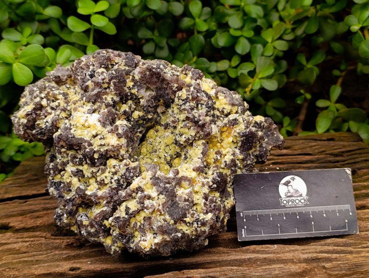 Natural XL Smokey Fluorite with Yellow Muscovite Mica Specimen x 1 From Erongo, Namibia - Toprock Gemstones and Minerals 