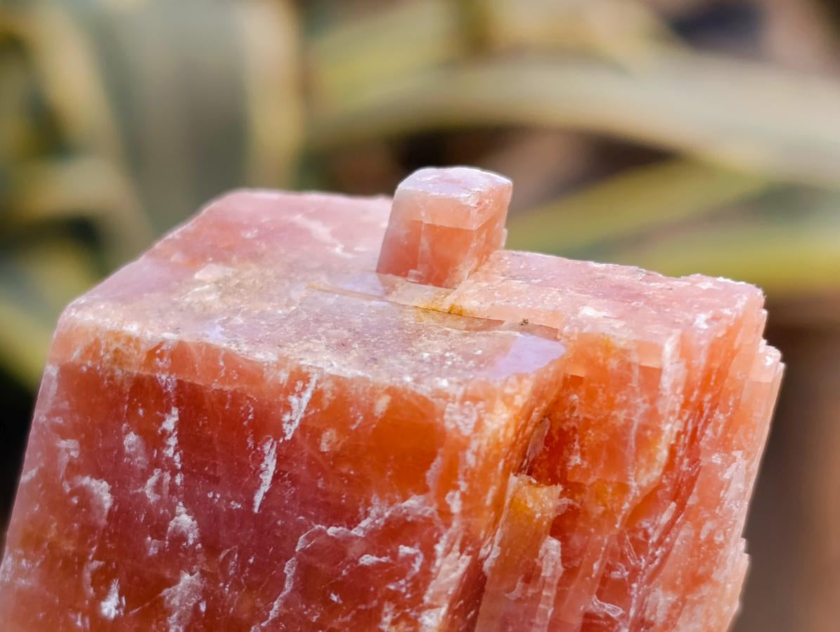 Natural Rhombohedral Sunset Orange Calcite Specimens x 12 From Spitzkop, Namibia - Toprock Gemstones and Minerals 