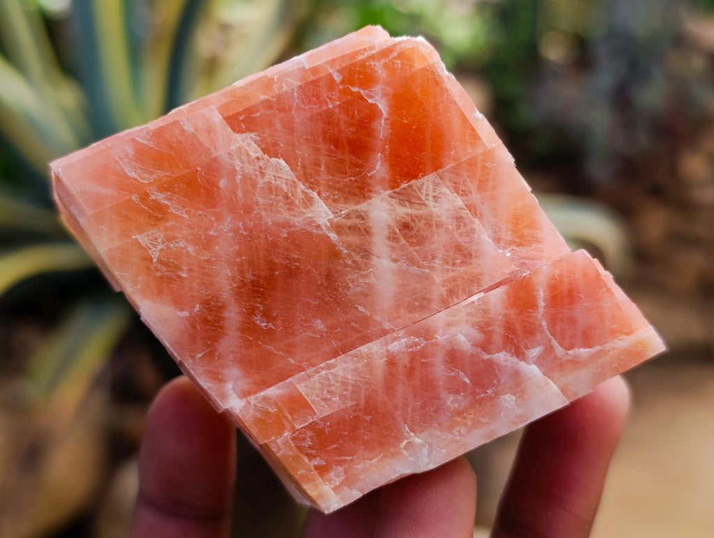 Natural Rhombohedral Sunset Orange Calcite Specimens x 12 From Spitzkop, Namibia - Toprock Gemstones and Minerals 