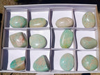 Polished Amazonite Standing Free Forms and Free Forms x 12 From Zimbabwe - Toprock Gemstones and Minerals 