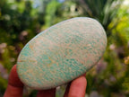 Polished Amazonite Standing Free Forms and Free Forms x 12 From Zimbabwe - Toprock Gemstones and Minerals 