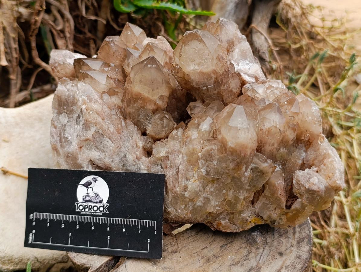 Natural Large Phantom Cascading Smokey Luena Quartz Cluster x 1 From Luena, Congo - Toprock Gemstones and Minerals 