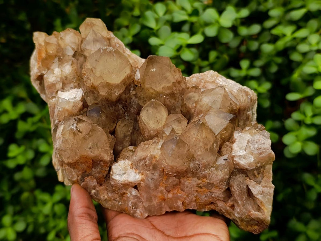 Natural Large Phantom Cascading Smokey Luena Quartz Cluster x 1 From Luena, Congo - Toprock Gemstones and Minerals 
