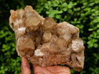Natural Large Phantom Cascading Smokey Luena Quartz Cluster x 1 From Luena, Congo - Toprock Gemstones and Minerals 