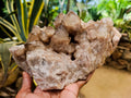 Natural Large Phantom Cascading Smokey Luena Quartz Cluster x 1 From Luena, Congo - Toprock Gemstones and Minerals 