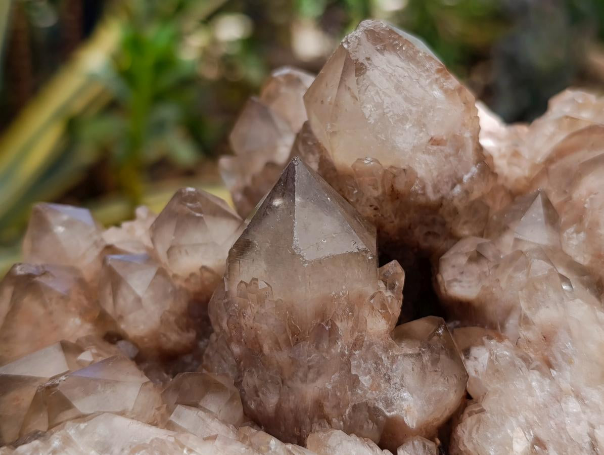 Natural Large Phantom Cascading Smokey Luena Quartz Cluster x 1 From Luena, Congo - Toprock Gemstones and Minerals 