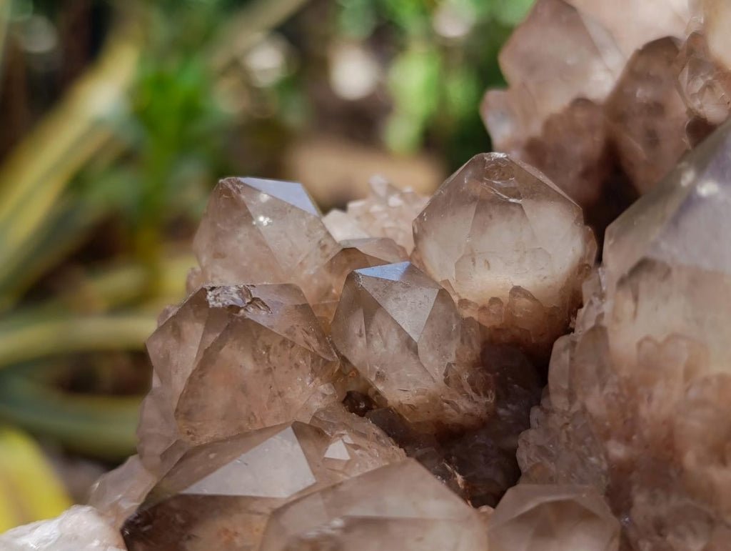 Natural Large Phantom Cascading Smokey Luena Quartz Cluster x 1 From Luena, Congo - Toprock Gemstones and Minerals 