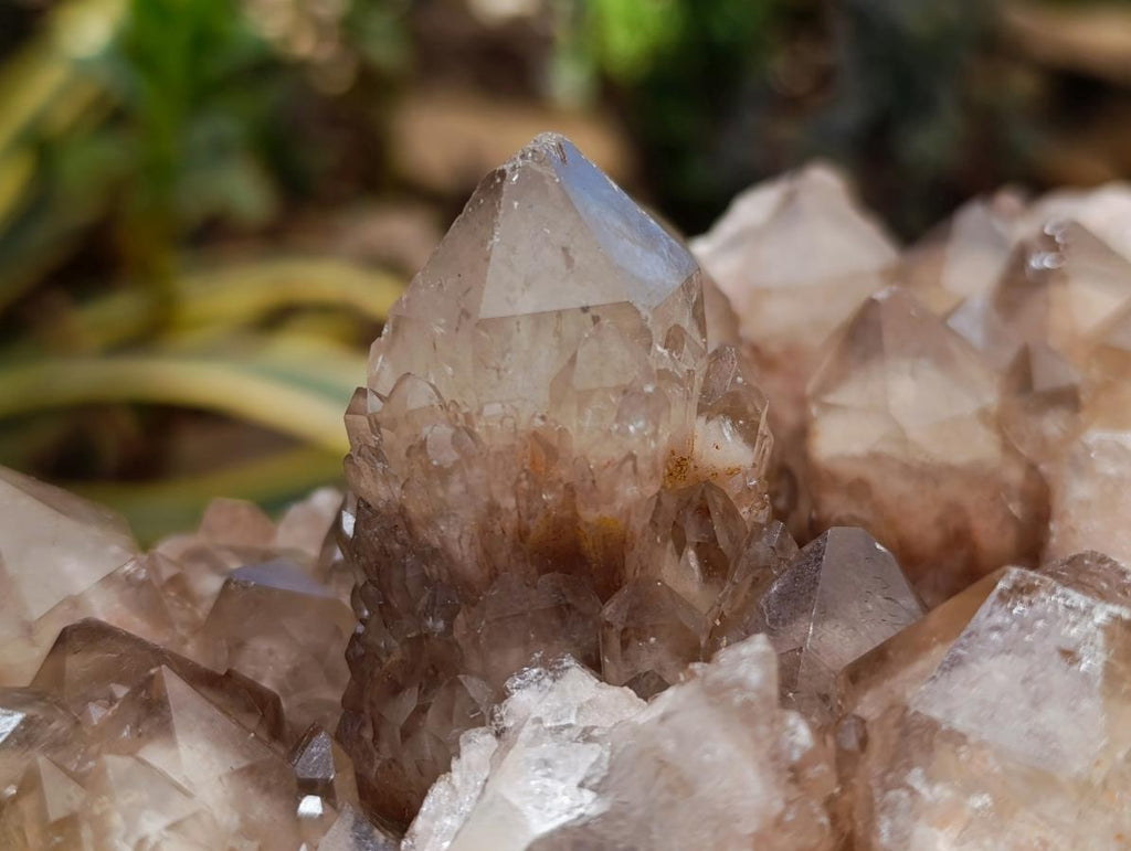 Natural Large Phantom Cascading Smokey Luena Quartz Cluster x 1 From Luena, Congo - Toprock Gemstones and Minerals 