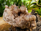 Natural Large Phantom Cascading Smokey Luena Quartz Cluster x 1 From Luena, Congo - Toprock Gemstones and Minerals 