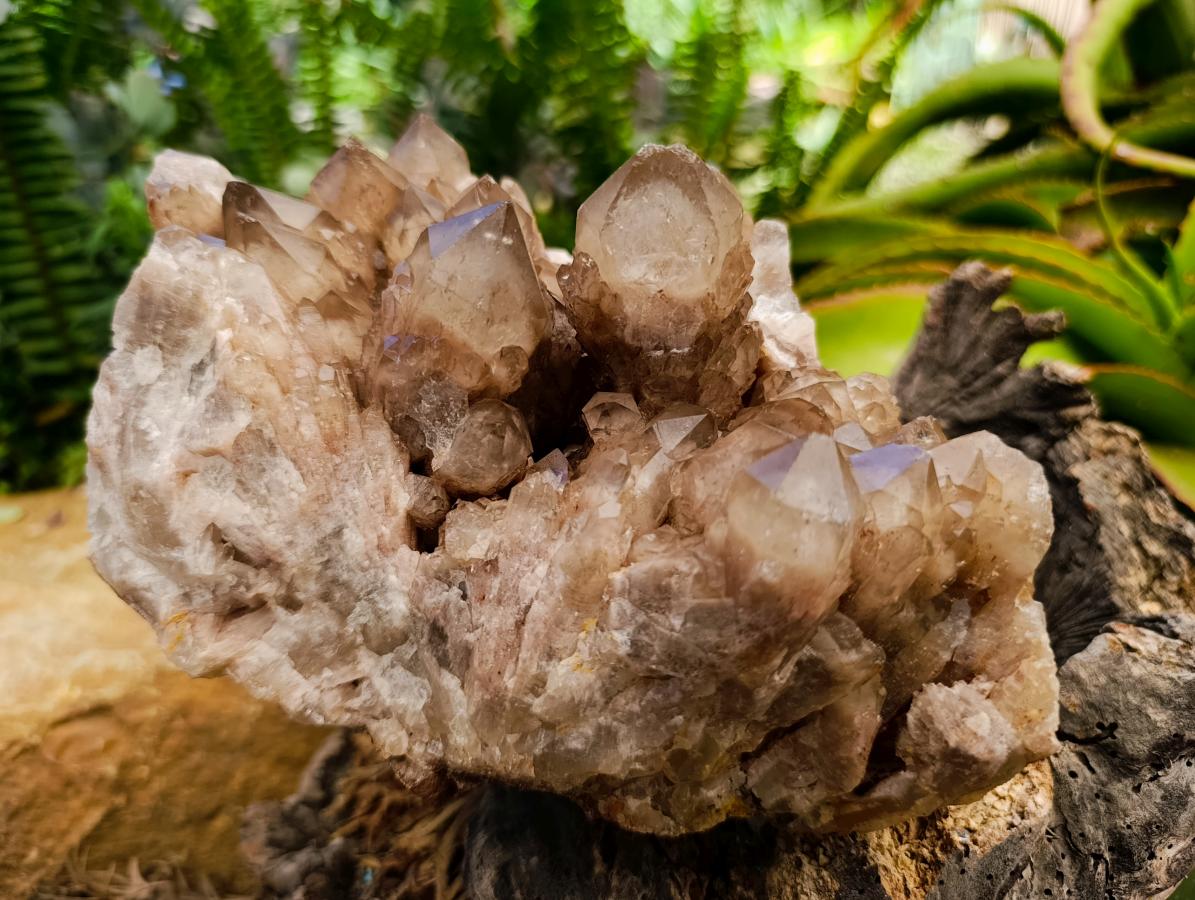 Natural Large Phantom Cascading Smokey Luena Quartz Cluster x 1 From Luena, Congo - Toprock Gemstones and Minerals 