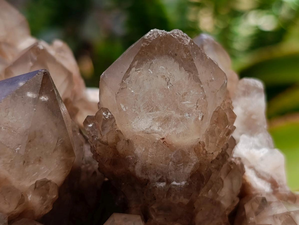Natural Large Phantom Cascading Smokey Luena Quartz Cluster x 1 From Luena, Congo - Toprock Gemstones and Minerals 