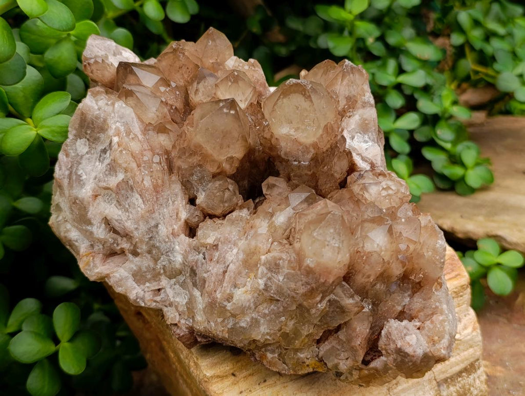 Natural Large Phantom Cascading Smokey Luena Quartz Cluster x 1 From Luena, Congo - Toprock Gemstones and Minerals 