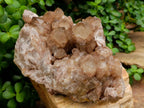 Natural Large Phantom Cascading Smokey Luena Quartz Cluster x 1 From Luena, Congo - Toprock Gemstones and Minerals 